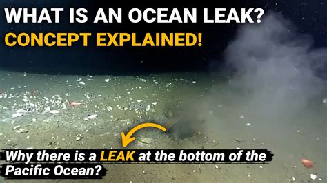 leak in pacific ocean|Leak in Pacific Ocean Floor First Known of Its Kind;。